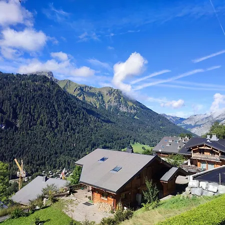 Apartment Cosy Pour 3 Avec Balcon Et Parking A - Fr-1-676-165 Chatel